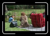 la cage 003 * 3504 x 2336 * (4.13MB)
